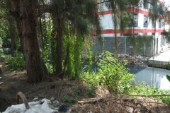 02_Ein-Kanal-hinter-dem-Grundstück
