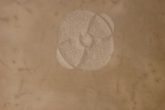 14_Detail