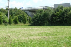 03_vorher_Wiese