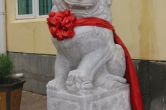 05_Fu-Hund_Weiblich
