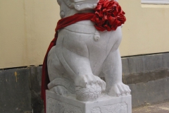 06_Fu-Hund_Männlich